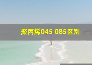 聚丙烯045 085区别